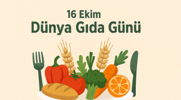 1 Milyar Ton Gıda Çöpe Gidiyor! İnsanlar Aç Yatıyor…