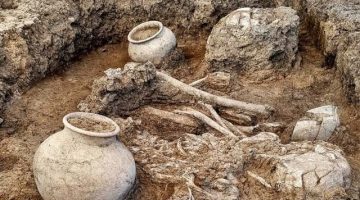Çayönü Tepesi’nde 8 Mezar Gün Yüzüne Çıkarıldı