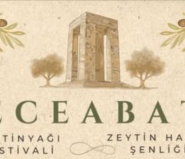 Eceabat Zeytinyağı Festivali Başlıyor