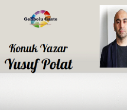 Ne oldu sana Barış Alper?