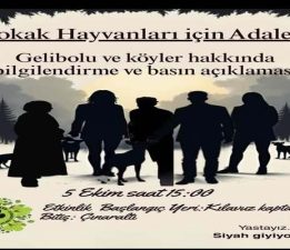 Gelibolu’da Sokak Hayvanları İçin Adalet Çağrısı