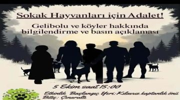 Gelibolu’da Sokak Hayvanları İçin Adalet Çağrısı