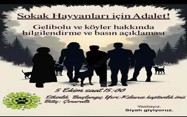 Gelibolu’da Sokak Hayvanları İçin Adalet Çağrısı