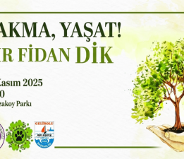 Gelibolu Kadınlar Derneği’nden “Zeytin Ağacı” Seferberliği