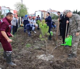 “Yeşil Vatan Seferberliği” Fidan Dikimi Gerçekleşti