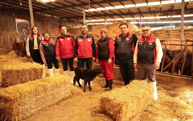 Çanakkale’de Hayvancılık Seferberliği: İlk Teslimat Yapıldı