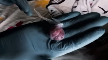 Çanakkale’de Zehir Tacirlerine Ağır Darbe