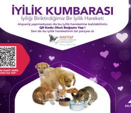Haytap İş Birliğiyle “İyilik Kumbarası” Sokak Hayvanlarına Umut Oluyor