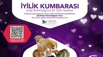 Haytap İş Birliğiyle “İyilik Kumbarası” Sokak Hayvanlarına Umut Oluyor