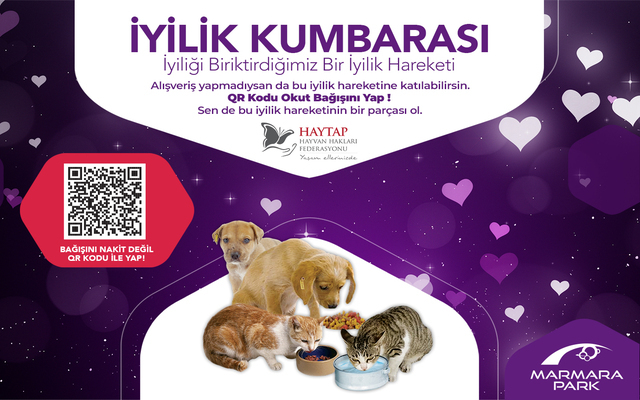 Haytap İş Birliğiyle “İyilik Kumbarası” Sokak Hayvanlarına Umut Oluyor