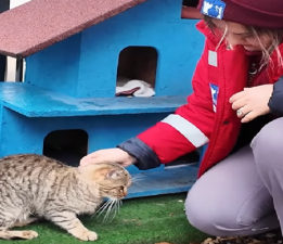 Çanakkale Belediyesi’nden Can Dostlarına Kış Desteği