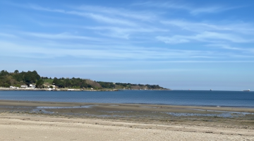 Hamzakoy’da Deniz Metrelerce Çekildi