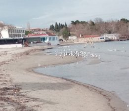 Hamzakoy’da Deniz Metrelerce Çekildi