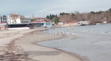 Hamzakoy’da Deniz Metrelerce Çekildi