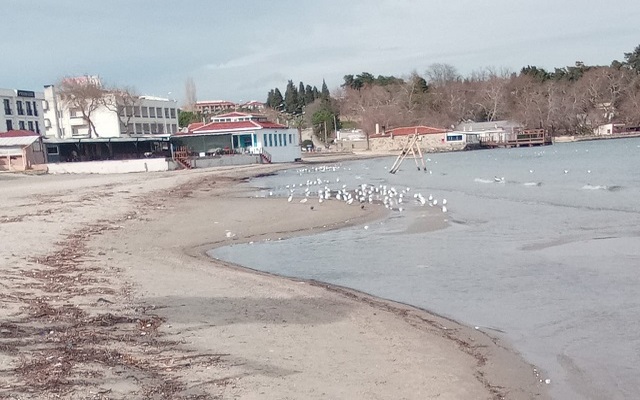 Hamzakoy’da Deniz Metrelerce Çekildi