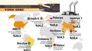 Türkiye, Günlük Tütün Kullanımında OECD Lideri