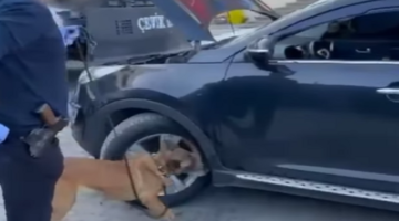 Biga’da Zehir Tacirlerine Darbe