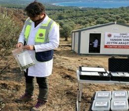 ÇOMÜ’den Yangın Sonrası Zeytin Araştırması