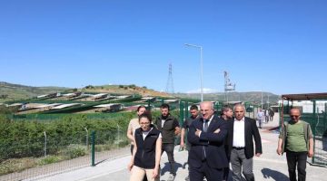 Çanakkale Valisi Toraman’dan Hayvan Barınağına Yakın Markaj