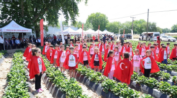 Çanakkale’nin “Kırmızı Altını” Vitrine Çıktı
