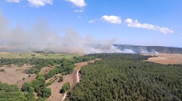 Eceabat’taki Zirai Yangın Kontrol Altında