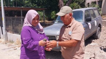 Gelibolu’da Yaban Kuşlarına Şefkat Eli