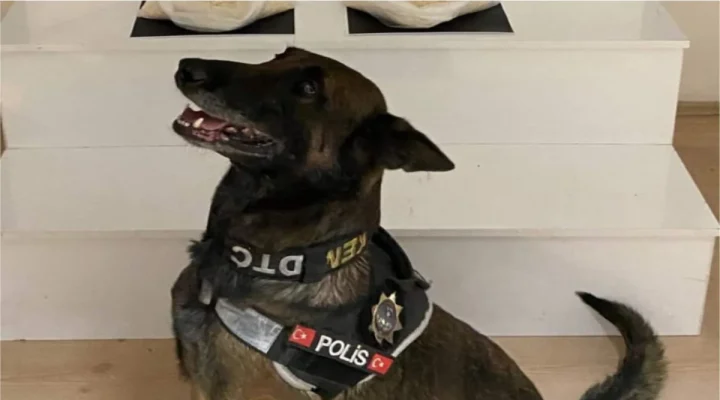 Balıkesir Savaştepe’de 3 kilo 988 gram metamfetamin operasyonu