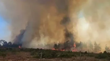 Kaş’ta çıkan orman yangınına yoğun müdahale