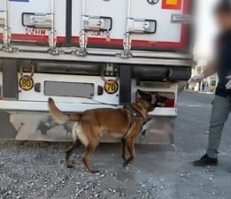 71 İlde Narkotik Operasyonu: 807 Tutuklama