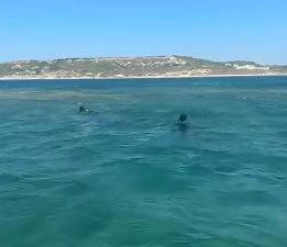 Bozcaada’da Denizde Kaybolan Kişi Aranıyor