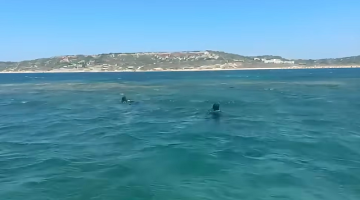 Bozcaada’da Denizde Kaybolan Kişi Aranıyor