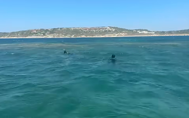 Bozcaada’da Denizde Kaybolan Kişi Aranıyor