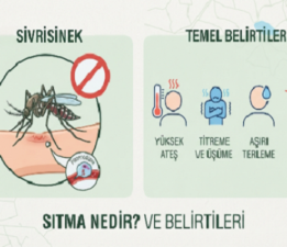 Gelibolu İlçe Sağlık’tan Sıtma Eğitimi