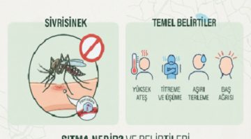 Gelibolu İlçe Sağlık’tan Sıtma Eğitimi