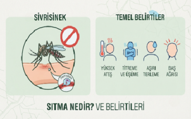 Gelibolu İlçe Sağlık’tan Sıtma Eğitimi